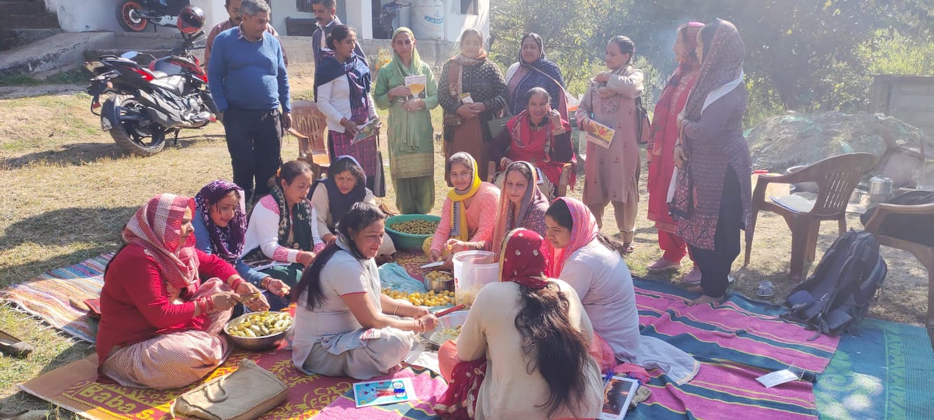 WhatsApp Image 2024-09-18 at 11.35.36 AM